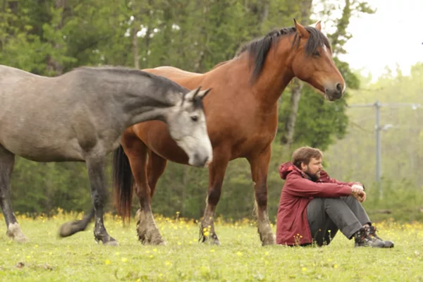 Equi IKIGAI par l'équicoach Jean-Marie de Williencourt en Normandie