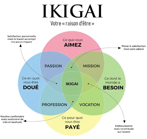 Equi IKIGAI par l'équicoach Jean-Marie de Williencourt en Normandie