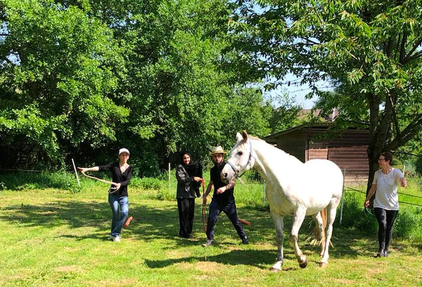 Leadership, Team-building, Equicoaching pour entreprises en Normandie