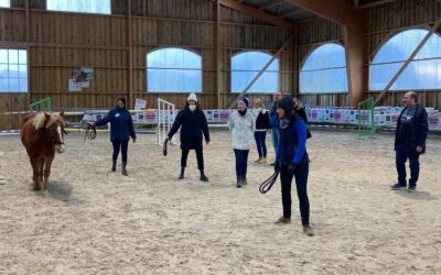 Quand la cohésion d’équipe s’effrite : et si le problème venait de la communication… pas des personnes ?