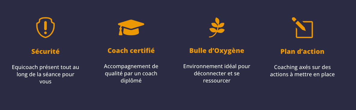 Equicoaching - programmes de cohésion d'équipe et d'accompagnement managérial avec les chevaux