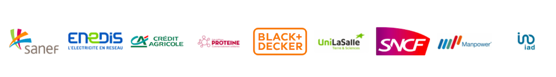 Equicoaching - programmes de cohésion d'équipe et d'accompagnement managérial avec les chevaux